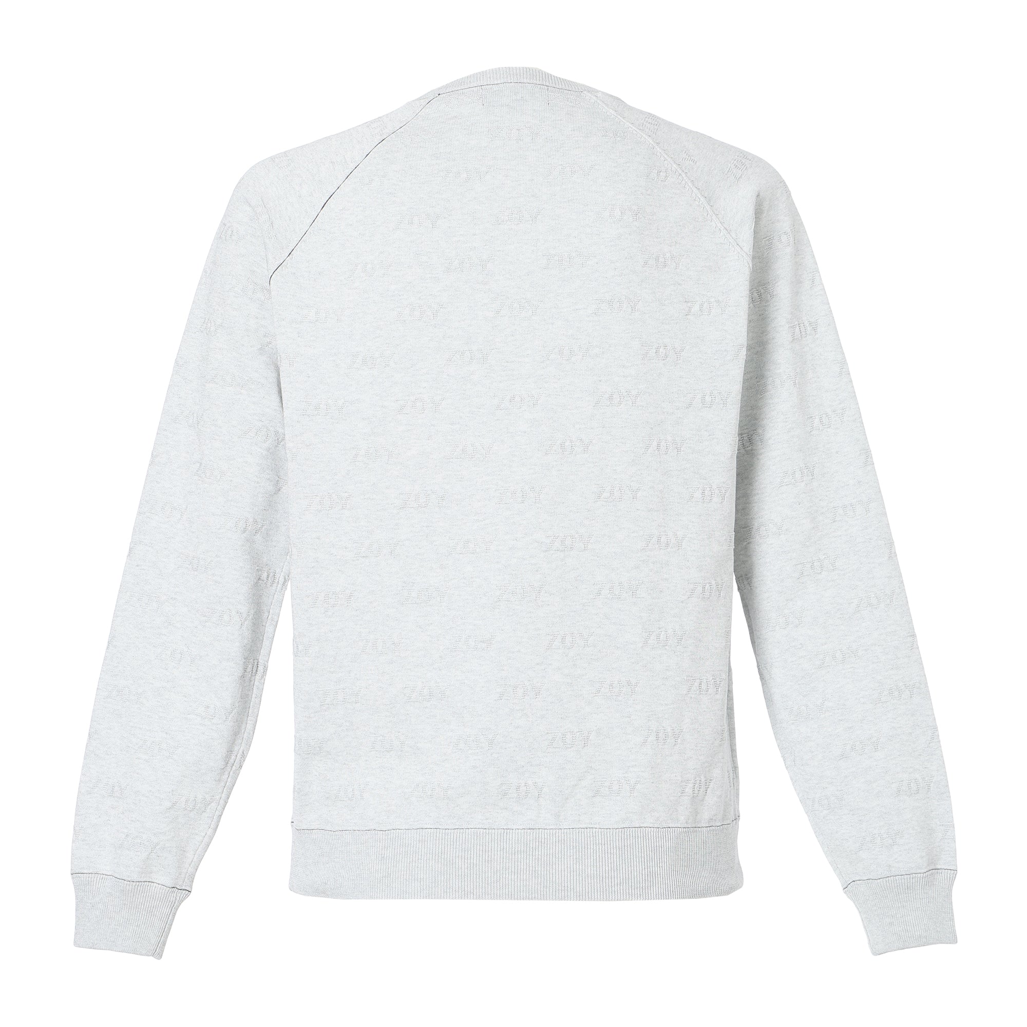 MEN ZOYリンクス 長袖セーター ライトグレー