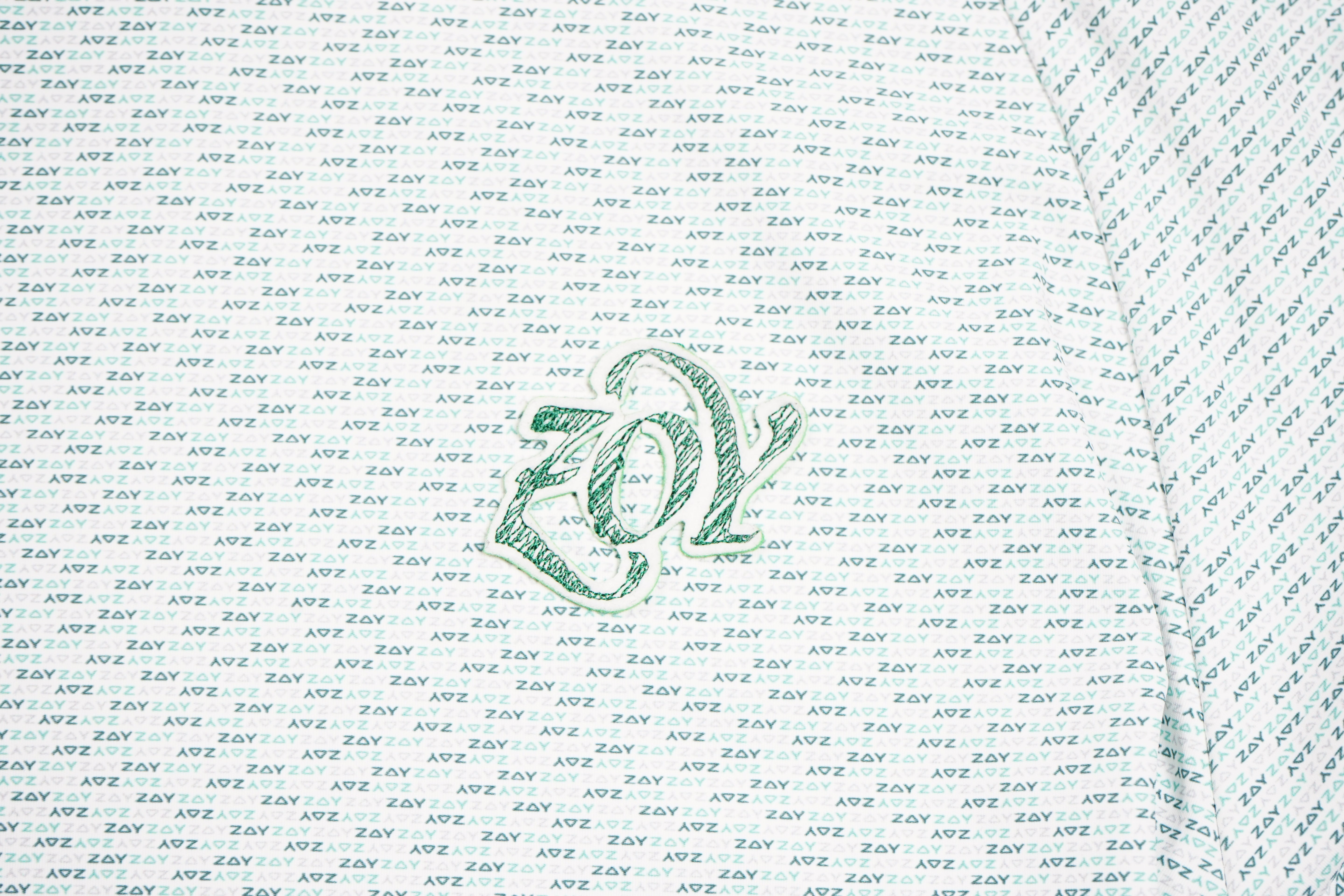 Men's Micro ZOY Logo Print Long Sleeve Shirt, Green, 071444024