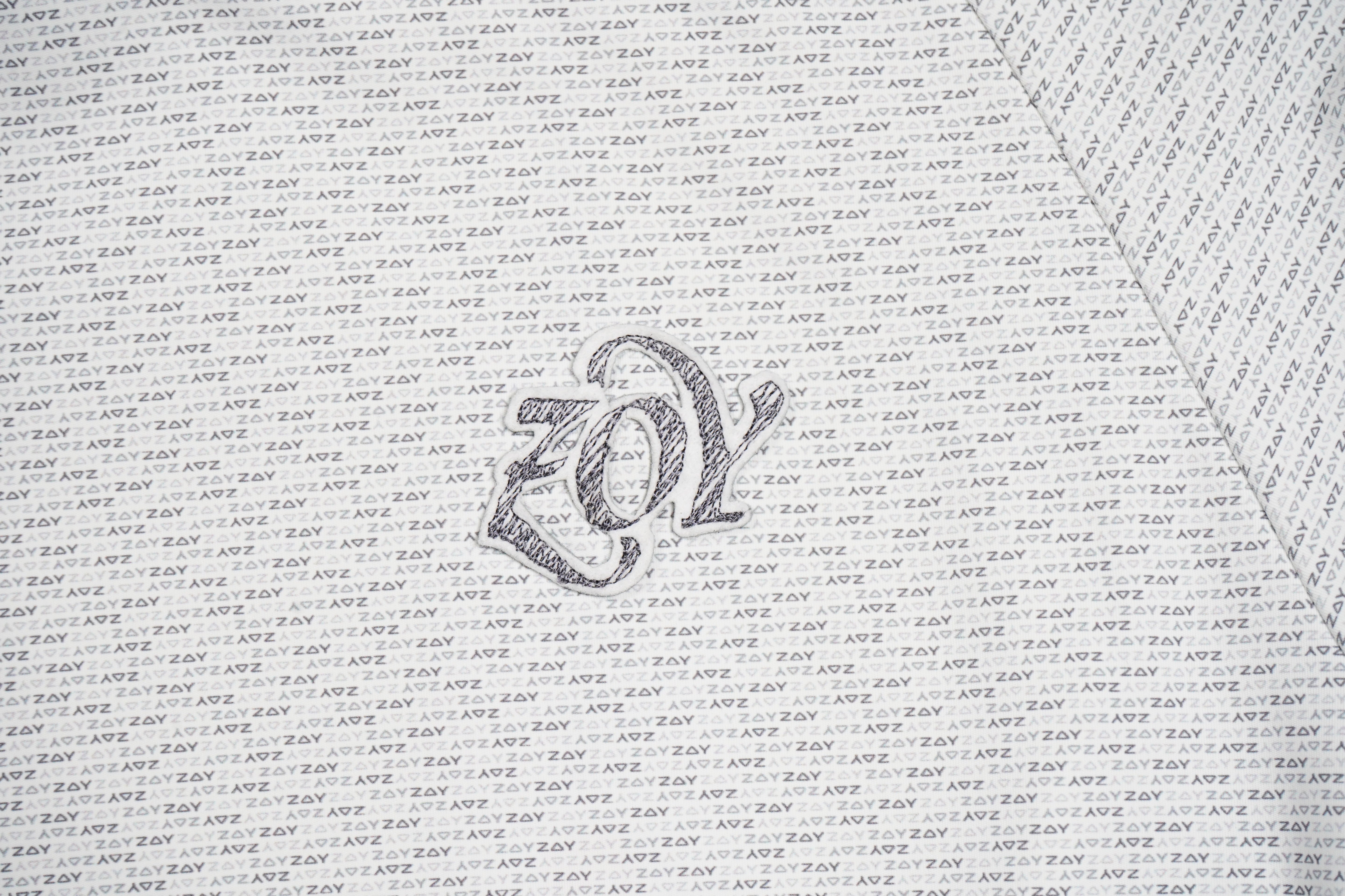 Women's Micro ZOY Logo Print Long Sleeve Shirt in Light Gray